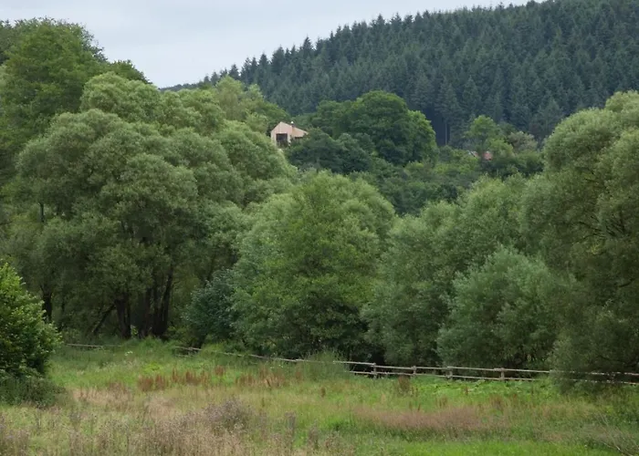 Moderner Holzhausneubau In Der Eifel By Interhome *